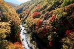 中津川渓谷nakatugawa glen valley bottom15